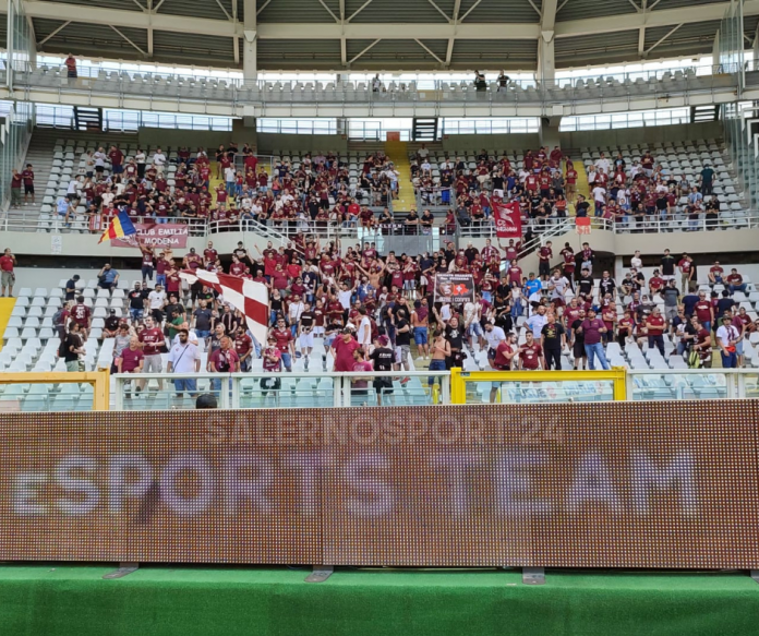 salernitana-torino-highlights