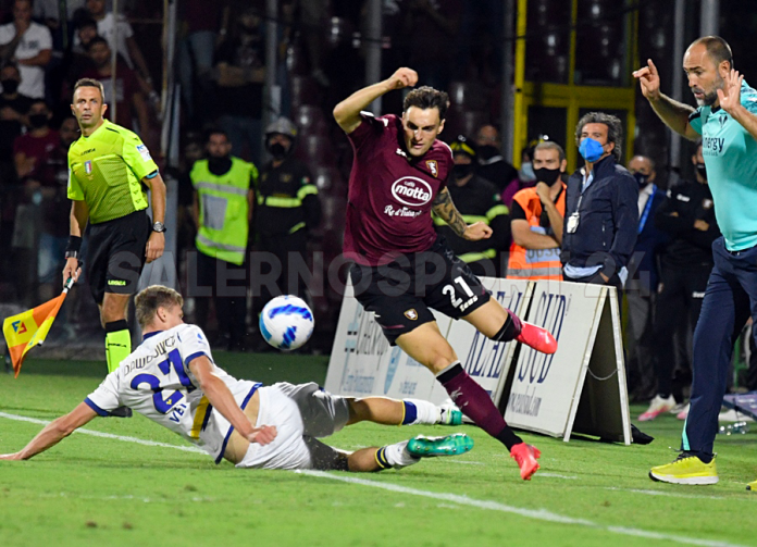 salernitana-atalanta-zortea