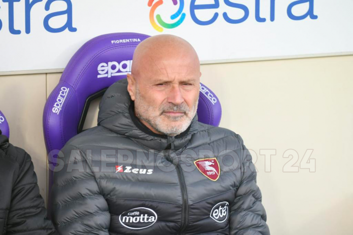 fiorentina-salernitana-colantuono