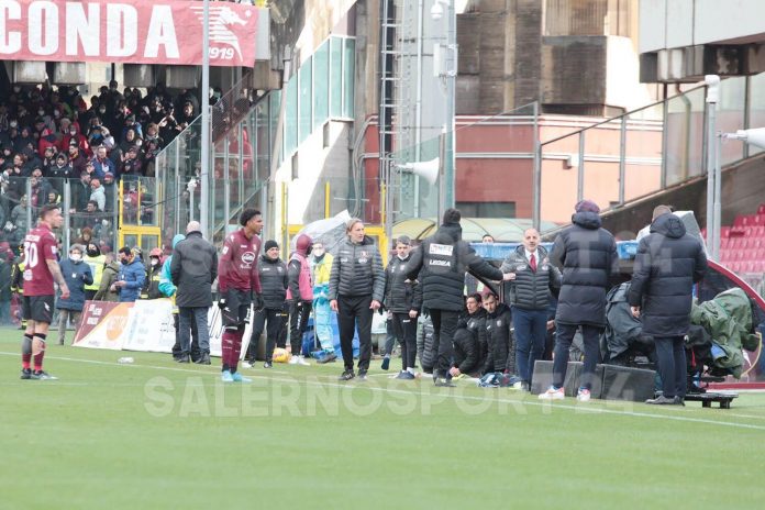 salernitana-bologna-2