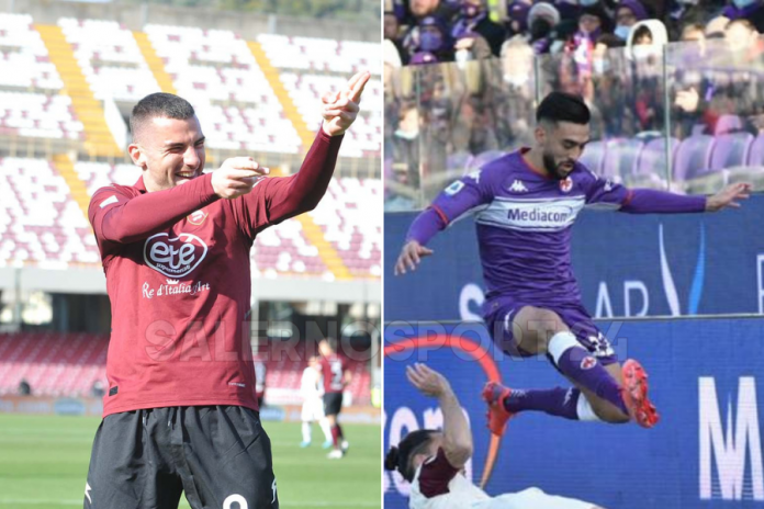 precedenti-salernitana-fiorentina