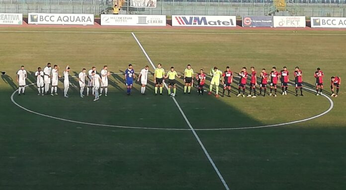 live-gelbison-foggia