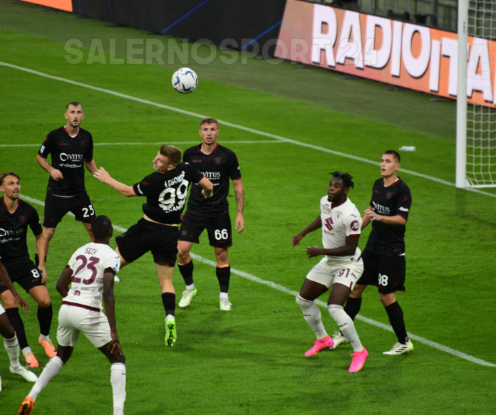 salernitana-torino