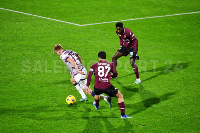 salernitana-bologna